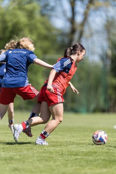 Bild 101 - wBJ Hamburger SV - Hertha BSC : Ergebnis: 5:2